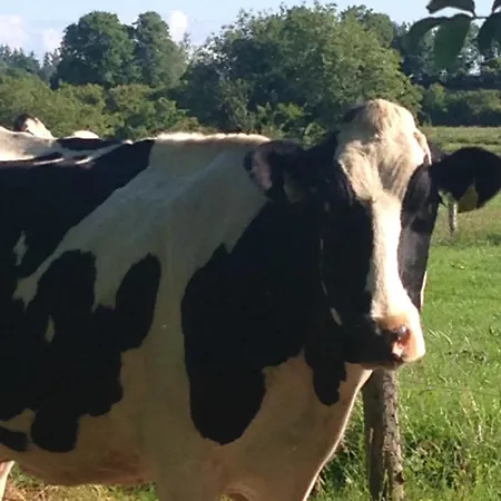 Mountains View Staycation Sligo