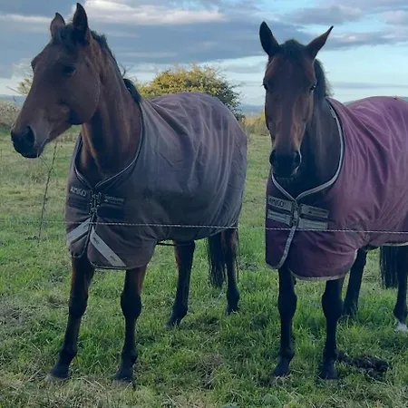 Mountains View Staycation Sligo