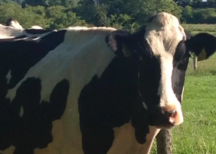 Mountains View Staycation 슬라이고