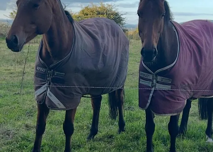 Mountains View Staycation 슬라이고